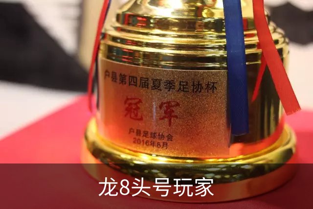 龙8头号玩家公司介绍图
